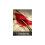 Vetpills “Técnicas quirúrgicas imprescindibles” -4 (enterotomías)
