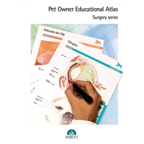Pet owner educational atlas. Surgery