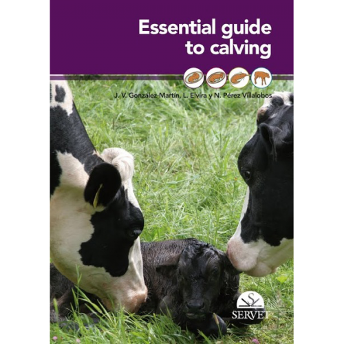 Essential guide to Calving
