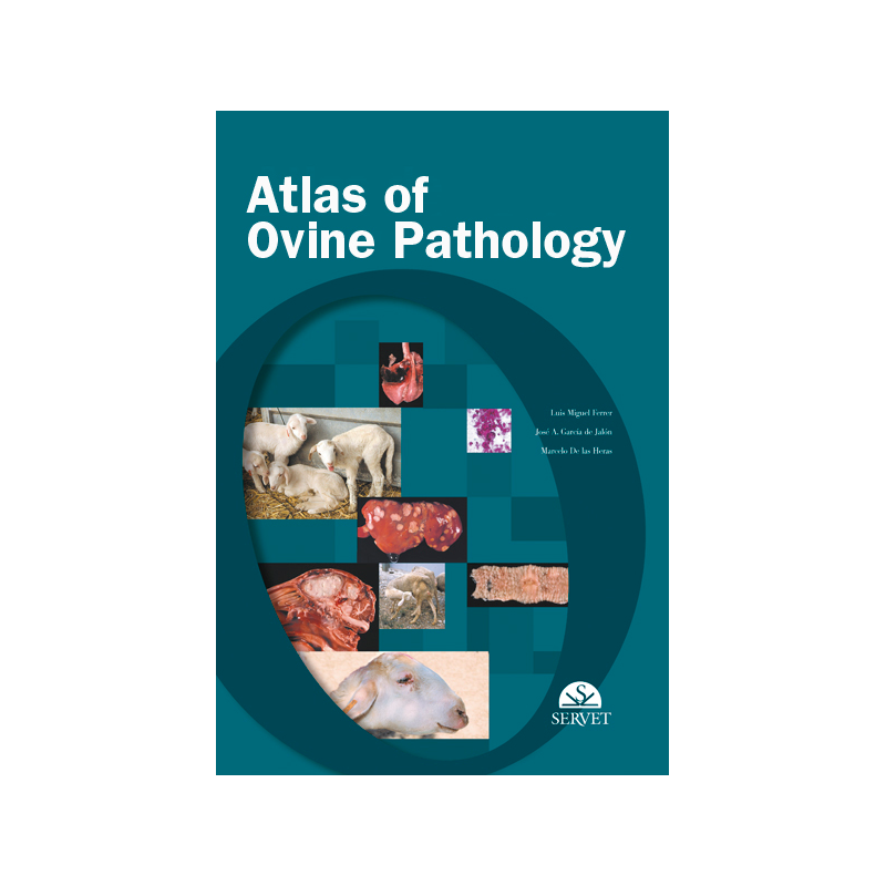 Atlas Of Ovine Pathology