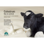 Colostrum, a key to survival