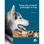 Visual atlas of dental pathologies in dogs