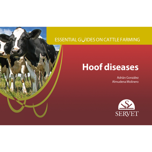 Essential guides on cattle farming. Hoof diseases