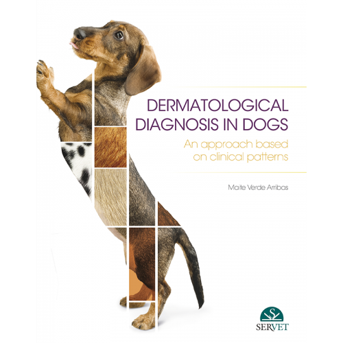 Dermatologic diagnosis in the dog. An approach based on skin patterns