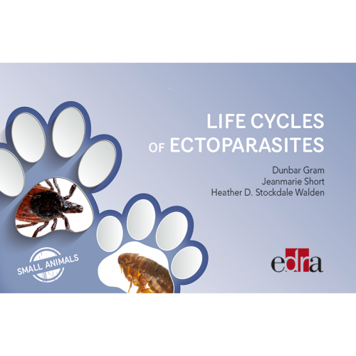 Life Cycles of Ectoparasites in Small Animals