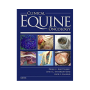 Clinical Equine Oncology