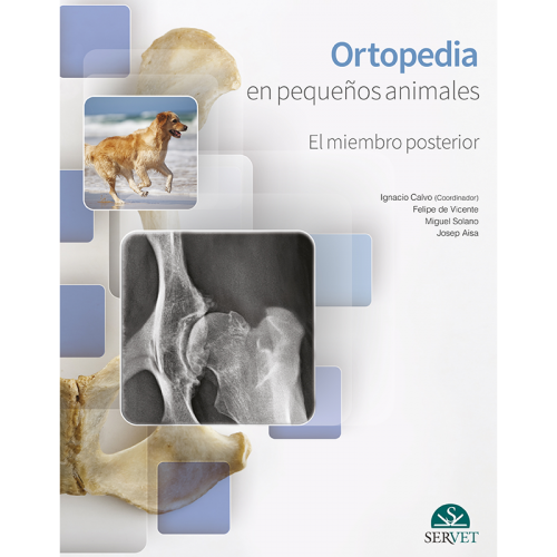 Ortopedia en pequeños animales. El miembro posterior