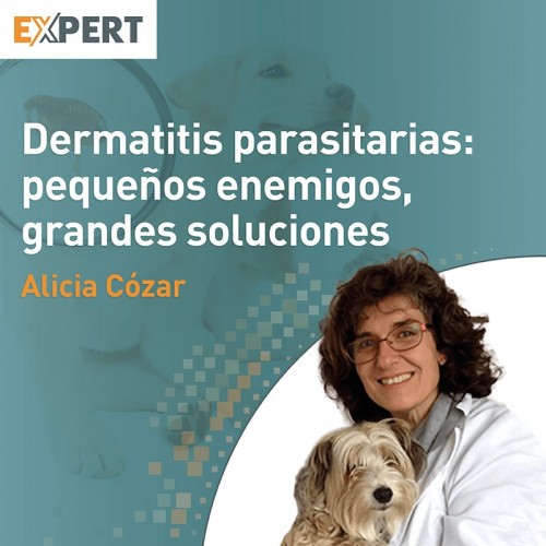 Programa Expert en Dermatitis parasitarias: pequeños enemigos, grandes soluciones