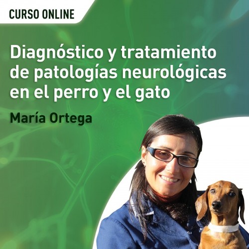Diagnóstico y tratamiento de patologías neurológicas en el perro y el gato