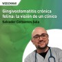 Gingivostomatitis crónica felina: la visión de un clínico