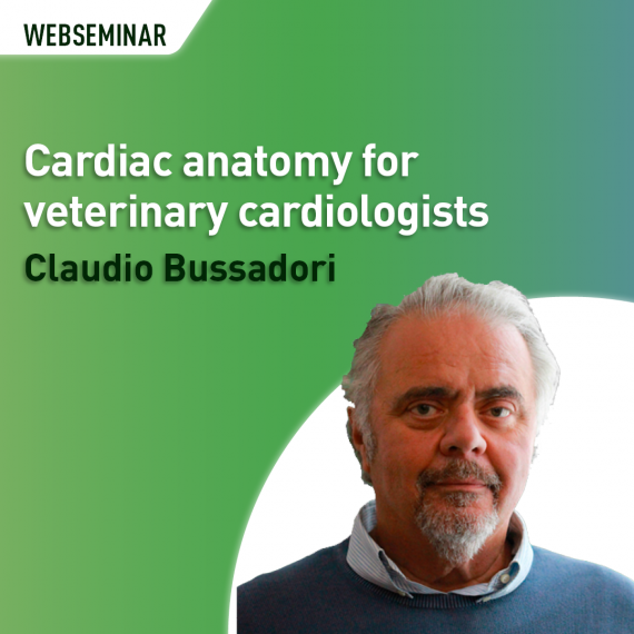 Cardiac anatomy for veterinary cardiologists
