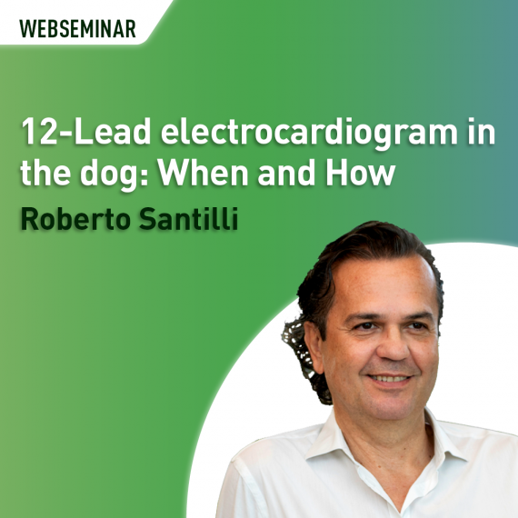 12-Lead electrocardiogram in the dog: When and How