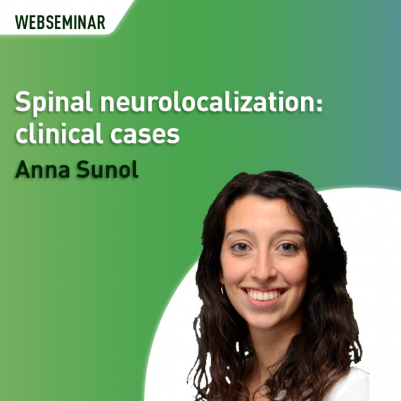 Spinal neurolocalization: clinical cases