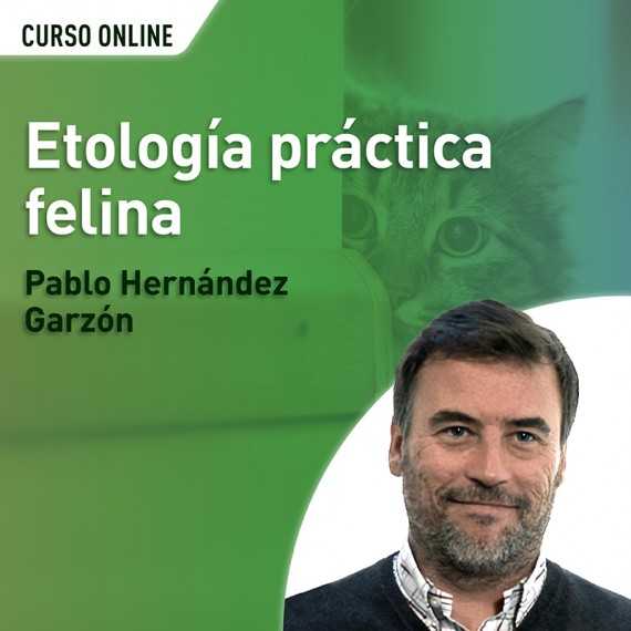 Etología práctica felina